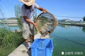 ‘kaiyun’
中国体坛拥有军衔的运发动 一人军衔高居少将 王治郅却是文职(图2) 开云