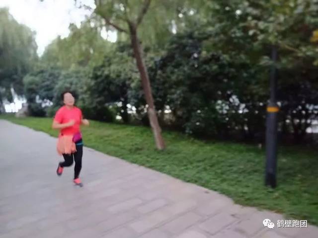 开云官方登录