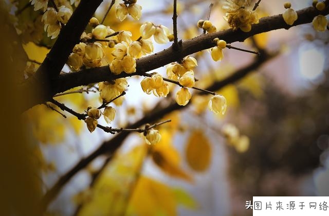 开云官方登录